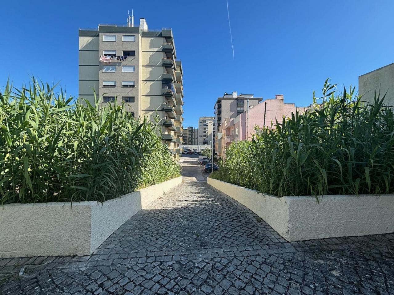 Rosario - Two Bedroom Apart- Buarcos - Figueira Da Foz Buitenkant foto